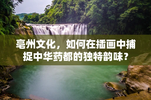 亳州文化，如何在插画中捕捉中华药都的独特韵味？