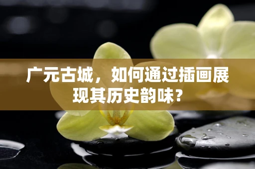广元古城，如何通过插画展现其历史韵味？