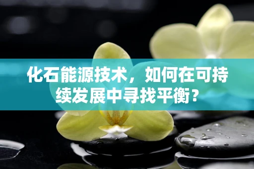 化石能源技术，如何在可持续发展中寻找平衡？