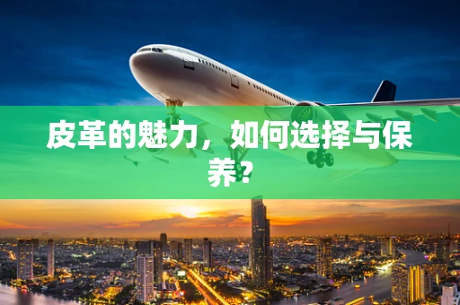 皮革的魅力，如何选择与保养？
