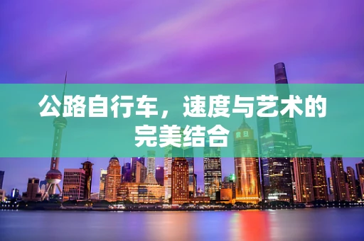 公路自行车，速度与艺术的完美结合