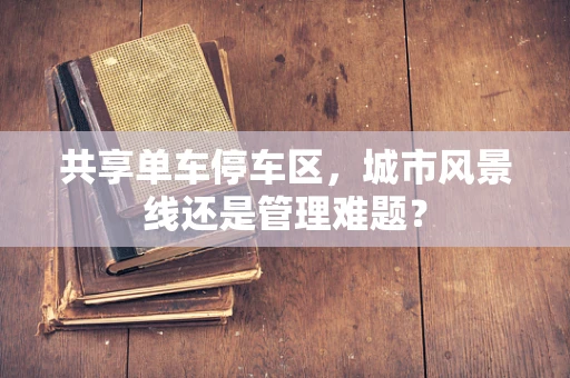 共享单车停车区，城市风景线还是管理难题？
