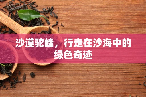 沙漠驼峰，行走在沙海中的绿色奇迹