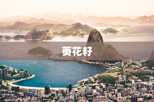 葵花籽