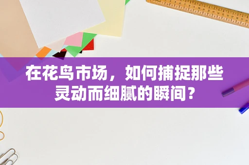 在花鸟市场，如何捕捉那些灵动而细腻的瞬间？