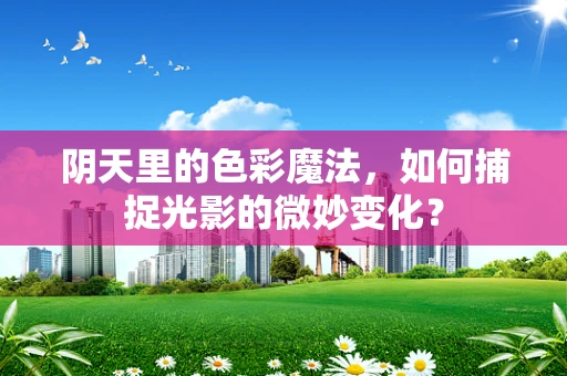 阴天里的色彩魔法，如何捕捉光影的微妙变化？