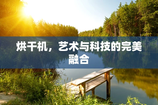 烘干机，艺术与科技的完美融合