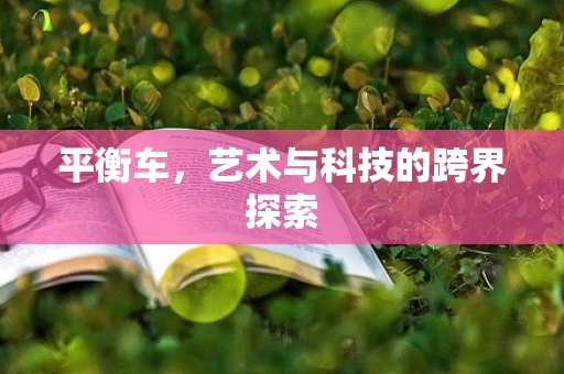 平衡车，艺术与科技的跨界探索