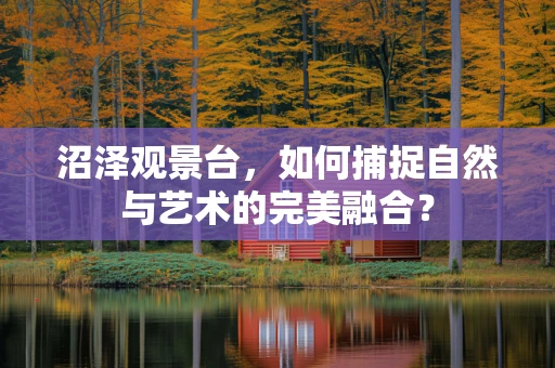 沼泽观景台，如何捕捉自然与艺术的完美融合？