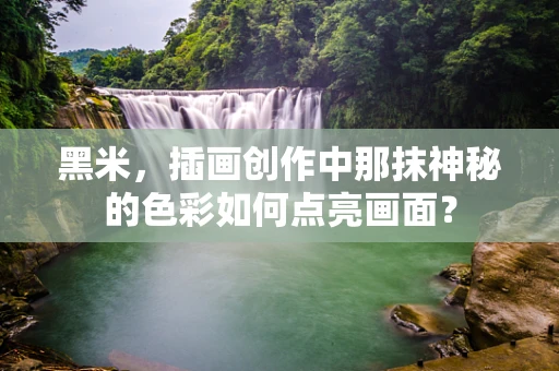 黑米，插画创作中那抹神秘的色彩如何点亮画面？