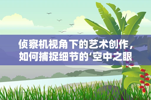 侦察机视角下的艺术创作，如何捕捉细节的‘空中之眼’？