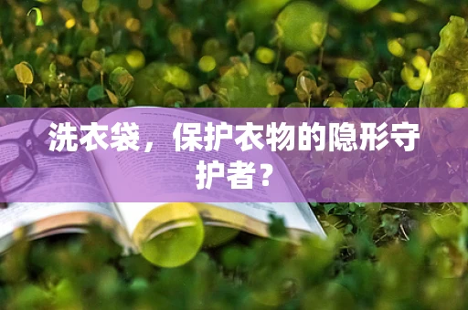 洗衣袋，保护衣物的隐形守护者？