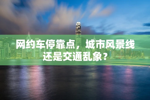 网约车停靠点，城市风景线还是交通乱象？