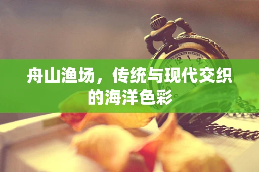 舟山渔场，传统与现代交织的海洋色彩