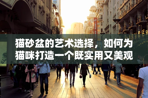 猫砂盆的艺术选择，如何为猫咪打造一个既实用又美观的如厕空间？