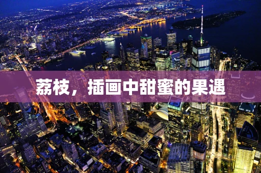 荔枝，插画中甜蜜的果遇
