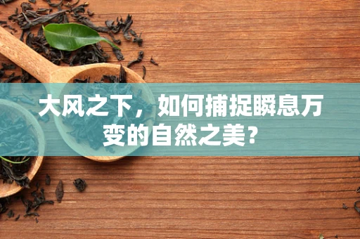 大风之下，如何捕捉瞬息万变的自然之美？