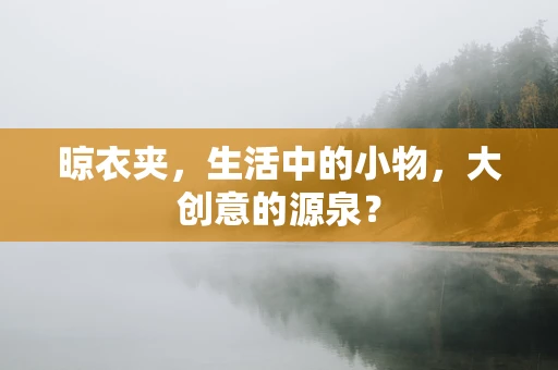 晾衣夹，生活中的小物，大创意的源泉？