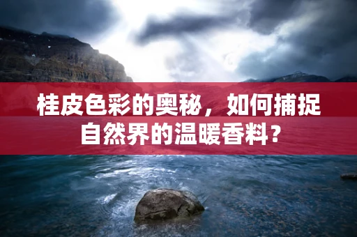 桂皮色彩的奥秘，如何捕捉自然界的温暖香料？