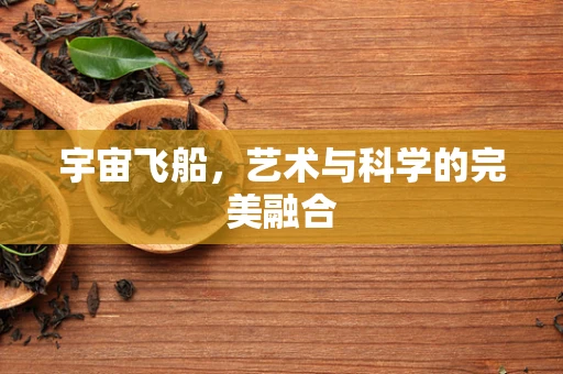 宇宙飞船，艺术与科学的完美融合