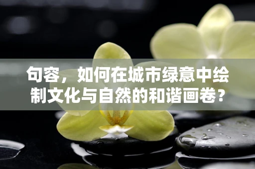 句容，如何在城市绿意中绘制文化与自然的和谐画卷？