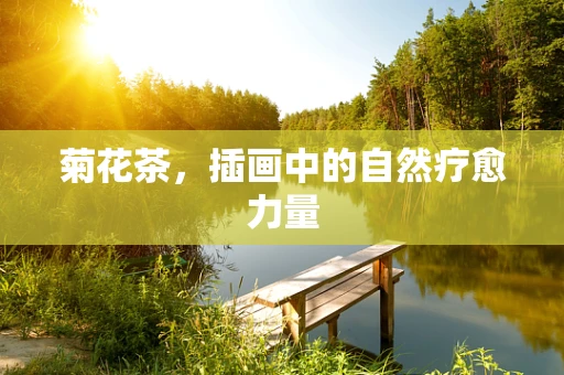 菊花茶，插画中的自然疗愈力量
