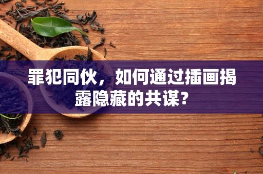 罪犯同伙，如何通过插画揭露隐藏的共谋？