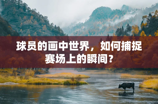 球员的画中世界，如何捕捉赛场上的瞬间？