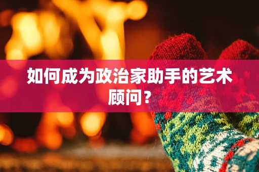 如何成为政治家助手的艺术顾问？