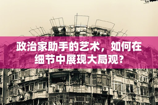 政治家助手的艺术，如何在细节中展现大局观？