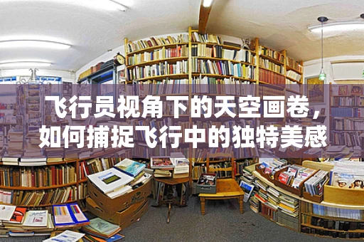 飞行员视角下的天空画卷，如何捕捉飞行中的独特美感？
