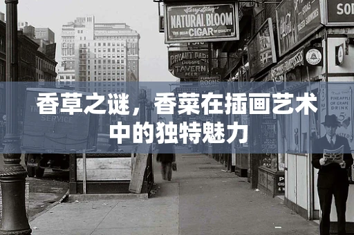 香草之谜，香菜在插画艺术中的独特魅力