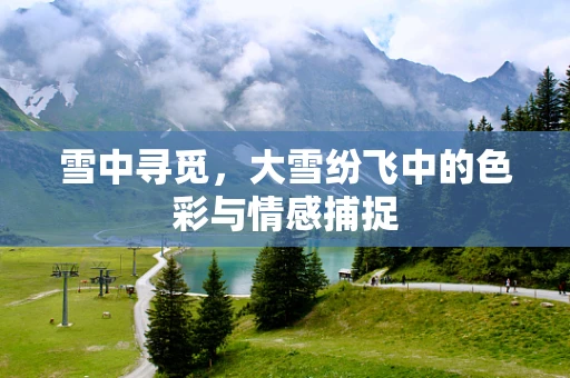雪中寻觅，大雪纷飞中的色彩与情感捕捉
