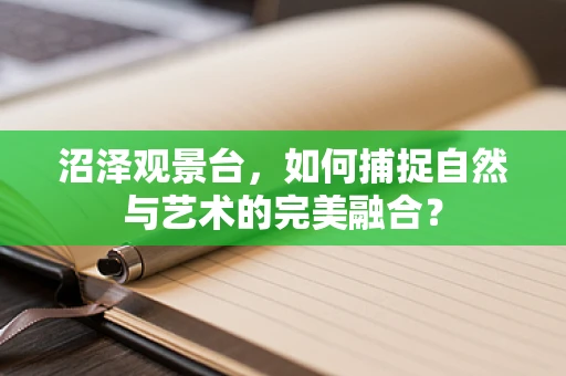 沼泽观景台，如何捕捉自然与艺术的完美融合？