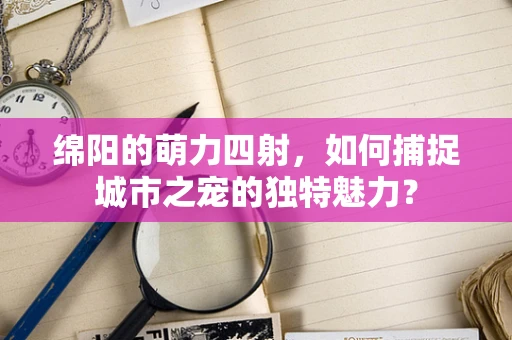 绵阳的萌力四射，如何捕捉城市之宠的独特魅力？
