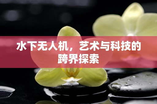 水下无人机，艺术与科技的跨界探索