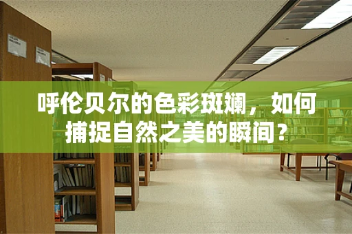 呼伦贝尔的色彩斑斓，如何捕捉自然之美的瞬间？