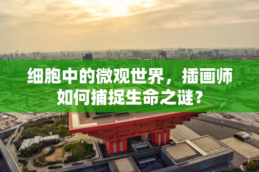 细胞中的微观世界，插画师如何捕捉生命之谜？