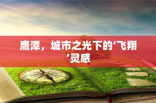 鹰潭，城市之光下的‘飞翔’灵感