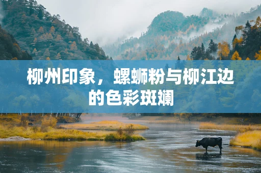 柳州印象，螺蛳粉与柳江边的色彩斑斓