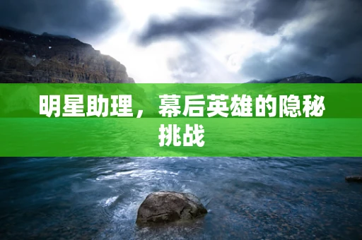 明星助理，幕后英雄的隐秘挑战