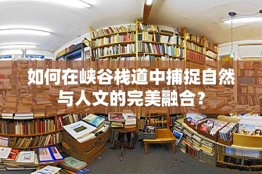 如何在峡谷栈道中捕捉自然与人文的完美融合？