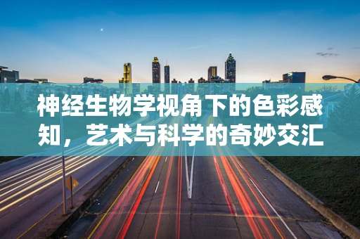 神经生物学视角下的色彩感知，艺术与科学的奇妙交汇