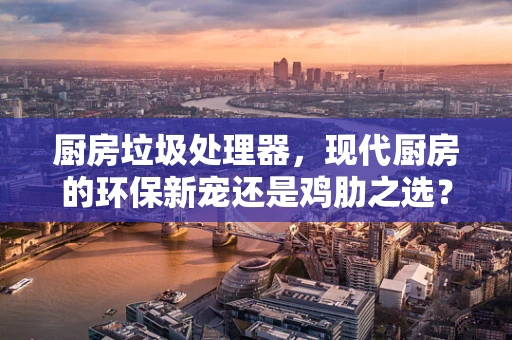 厨房垃圾处理器，现代厨房的环保新宠还是鸡肋之选？