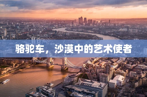 骆驼车，沙漠中的艺术使者