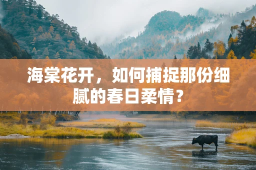 海棠花开，如何捕捉那份细腻的春日柔情？