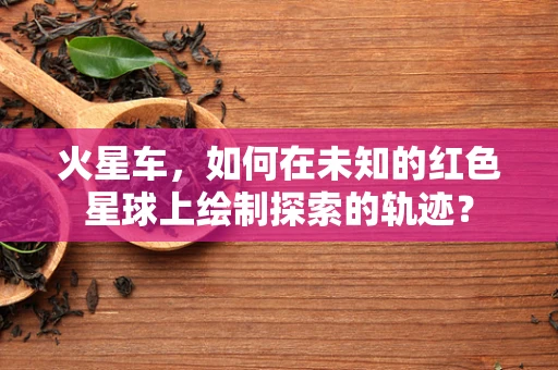 火星车，如何在未知的红色星球上绘制探索的轨迹？