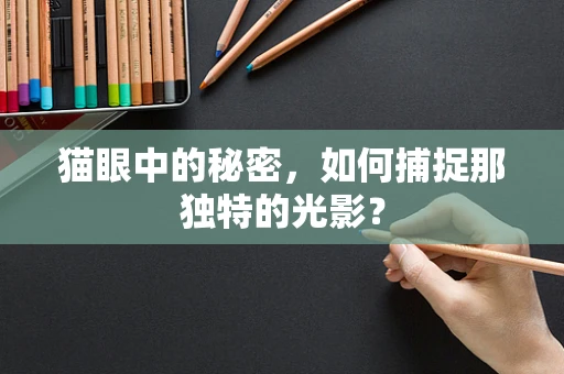 猫眼中的秘密，如何捕捉那独特的光影？