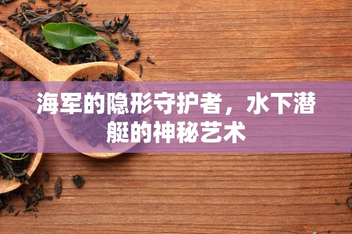 海军的隐形守护者，水下潜艇的神秘艺术