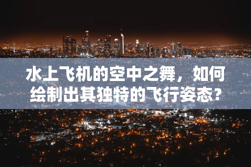 水上飞机的空中之舞，如何绘制出其独特的飞行姿态？